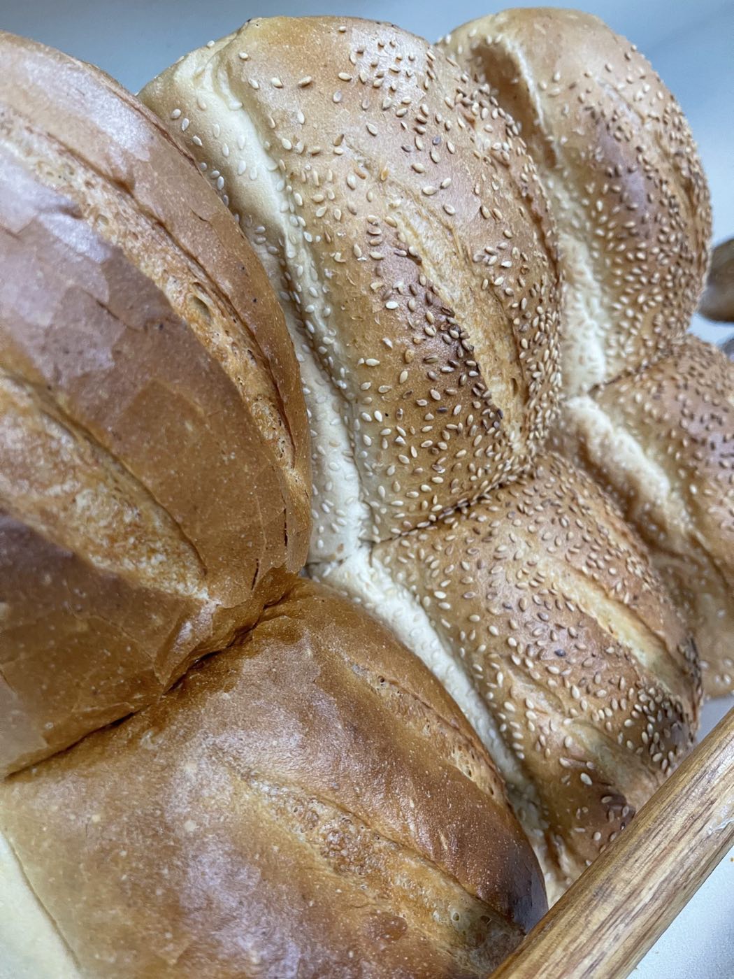 A golden loaf of bread with a sesame-seed top, baked as a row of joined rolls